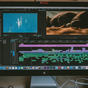 The Basics of Film Editing The Basics of Film Editing