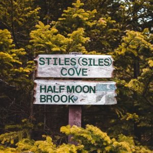 The Impactful Role of Environmental Advertising in Fredericton, Canada: Driving Sustainable Change through Digital Marketing